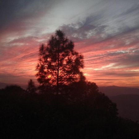 Mehra Cottage Almora Chambre photo