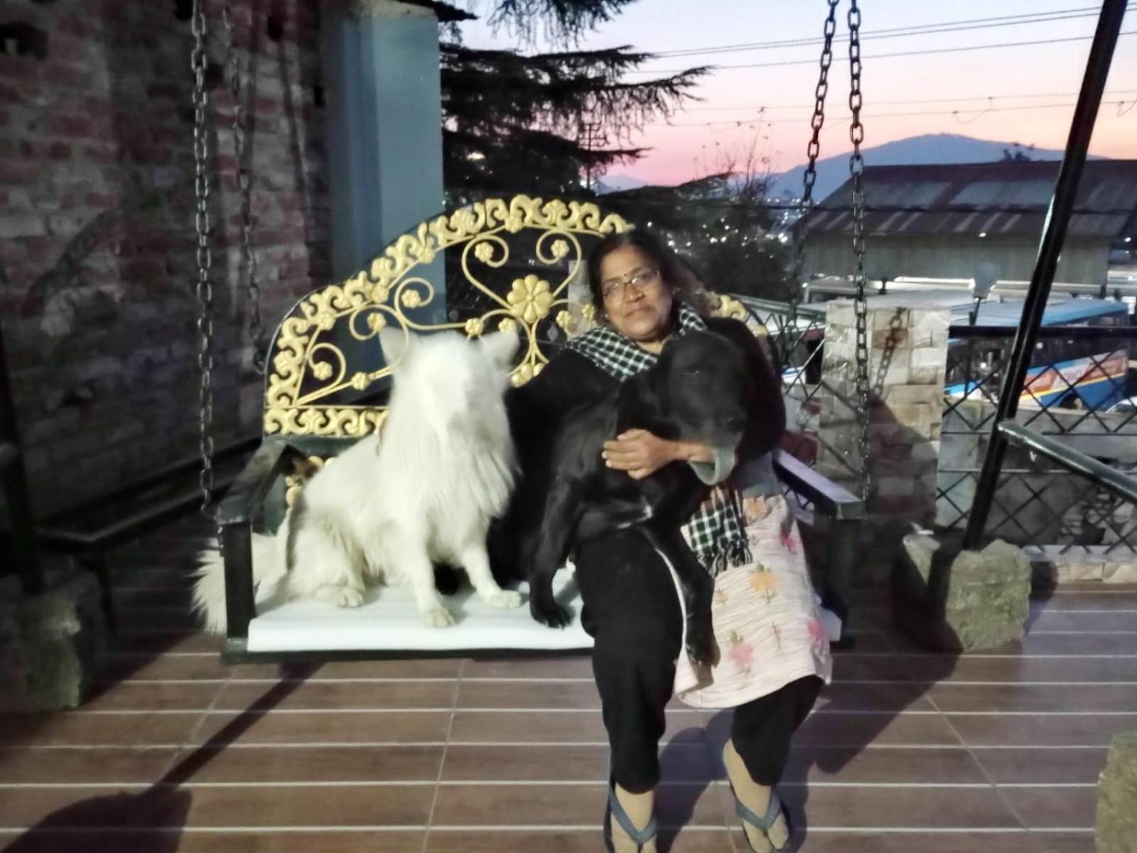 Mehra Cottage Almora Chambre photo