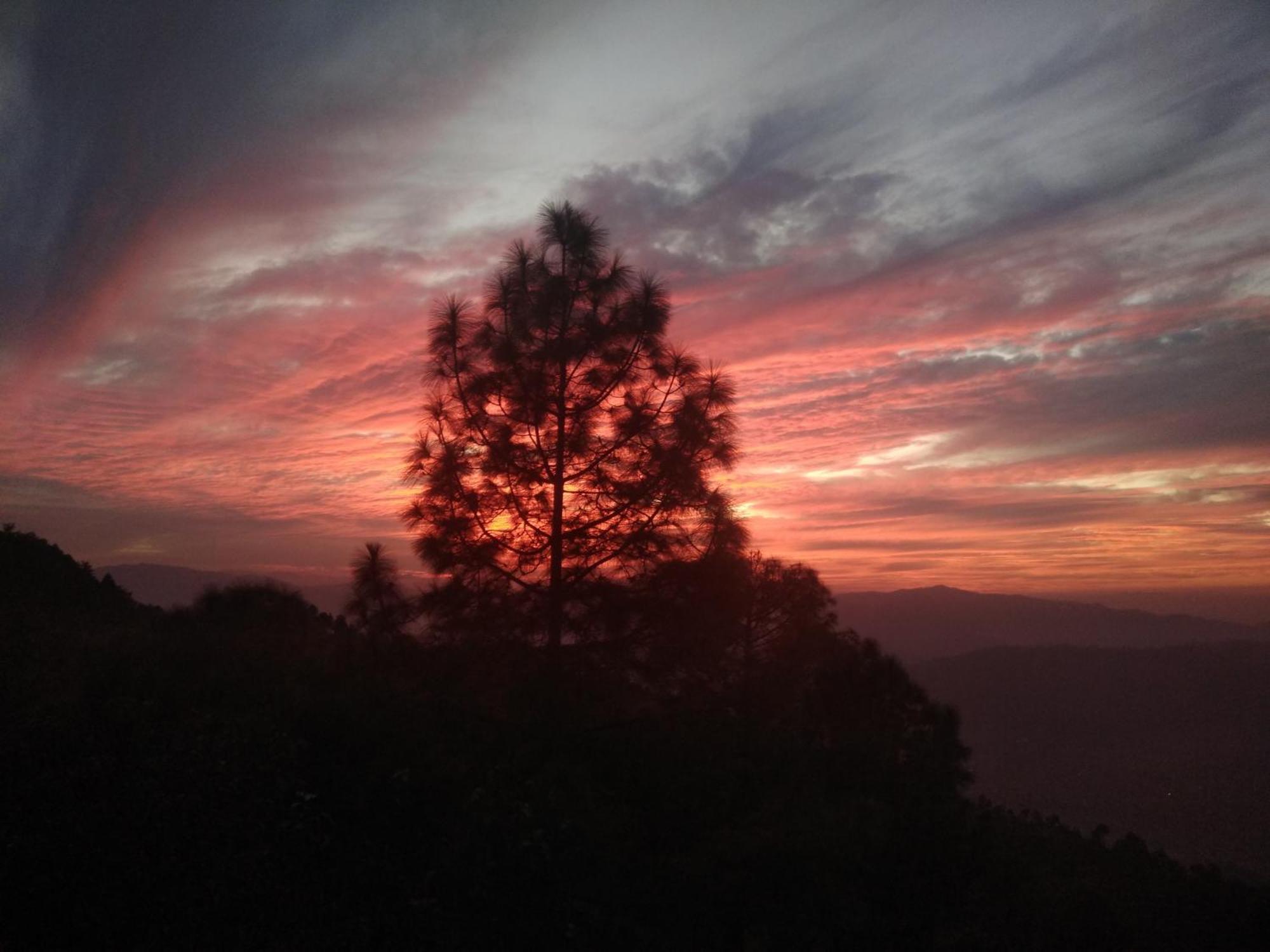 Mehra Cottage Almora Chambre photo